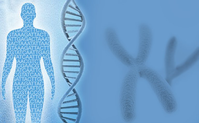 Giải trình tự bộ gen toàn diện thường được ưu tiên để chẩn đoán chính xác